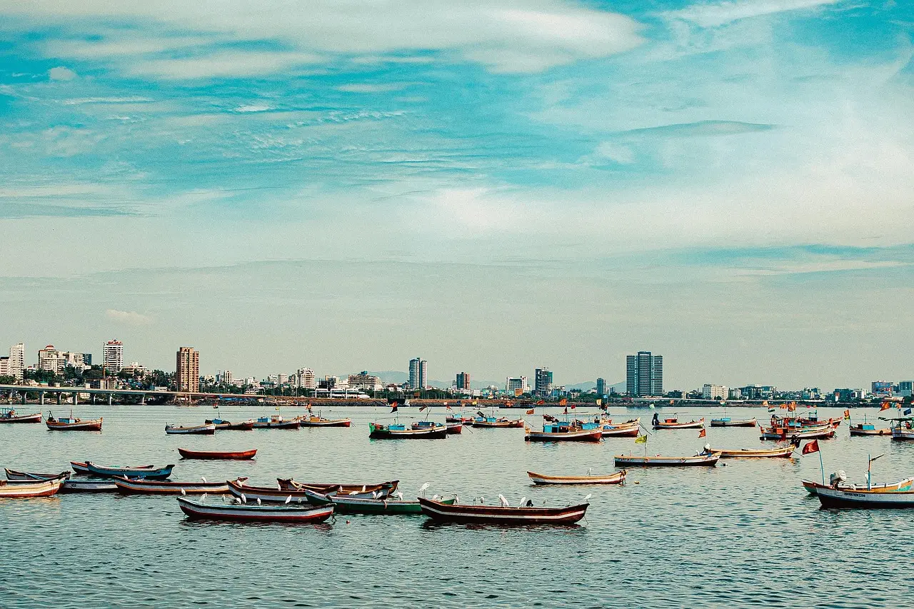 boats