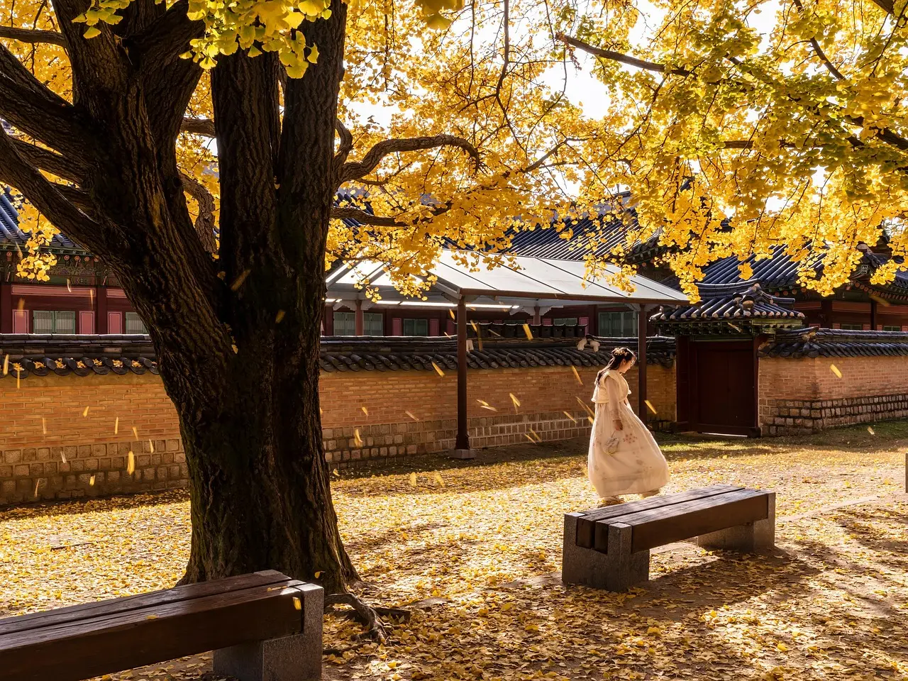 gyeongbok palace